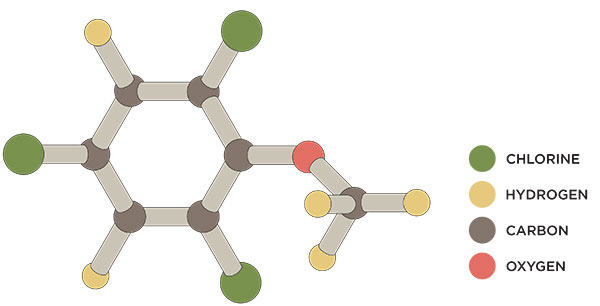 A diagram of the structure of a TCA molecule